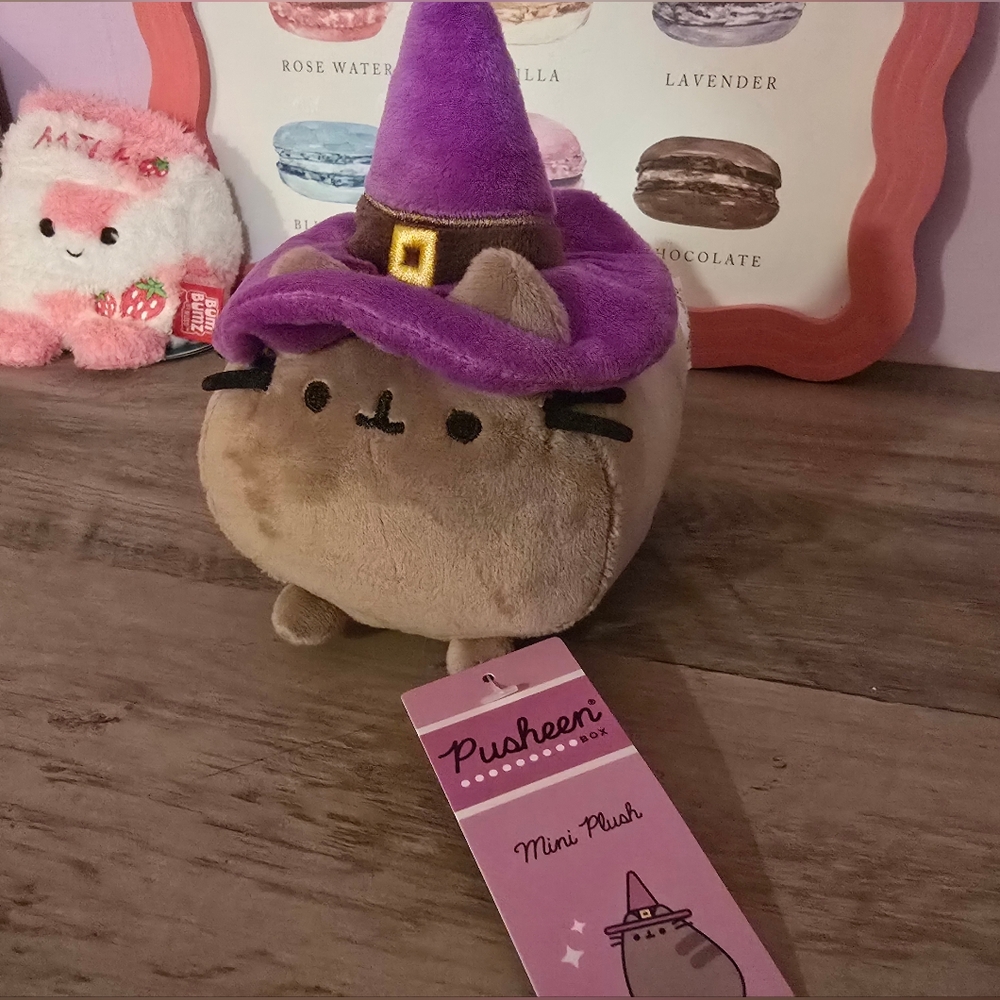 More PUSHEEN Items! - Picture 15 of 16